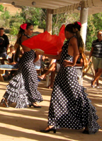 Flamenco